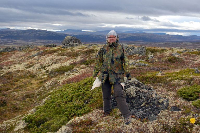 Im Dovrefjell-Nationalpark (Norwegen)