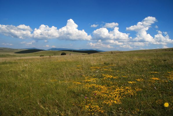 Chausse mejean - Frankreich