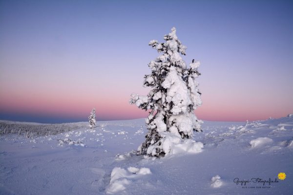 Finnland