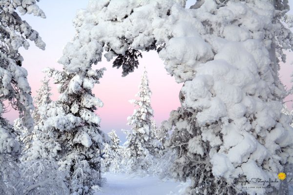 Winterzauber in Finnland