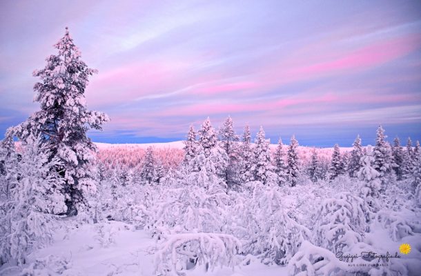 Finnland