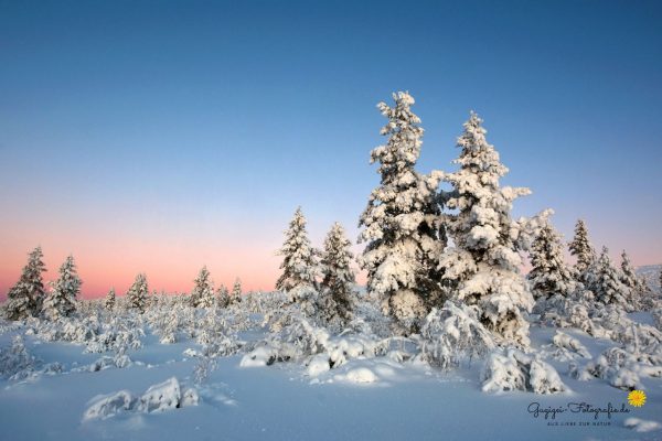 Finnland