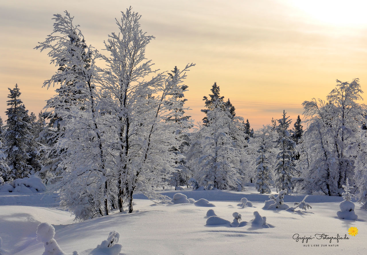 Winter in Finnland