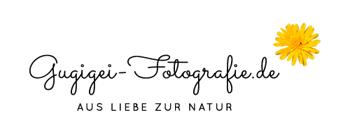 gugigei-logo-final-schwarz-transparent-500px