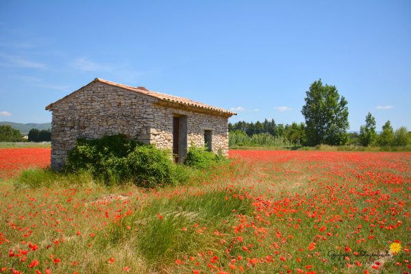 Provence (Frankreich)