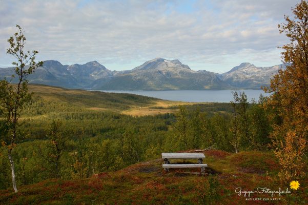Fjordlandschaft in Norwegen