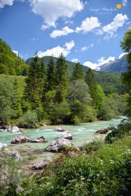 An der Soca (Triglav-Nationalpark, Slowenien)