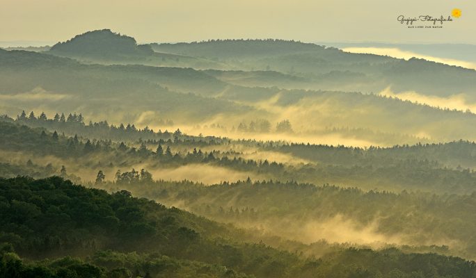 Blick vom Georgenberg Richtung Alteburg