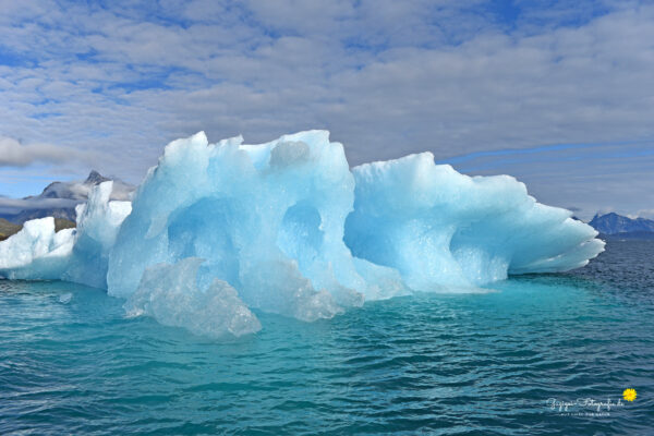 Eisberge in Grönland