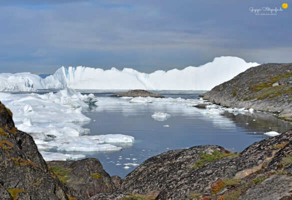 Eisfjord bei Ilulissat