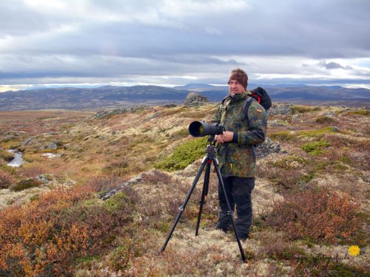 Im dovrefjell-nationalpark(Norwegen)2