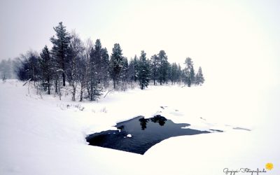 Am Inarisee, Finnland