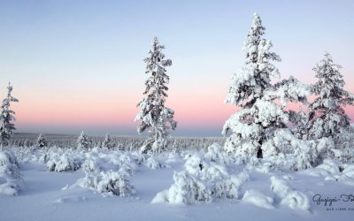 Finnland