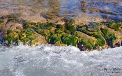 An der Echaz