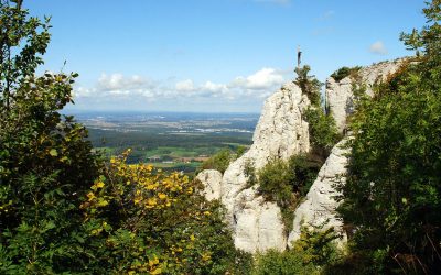 Wackerstein