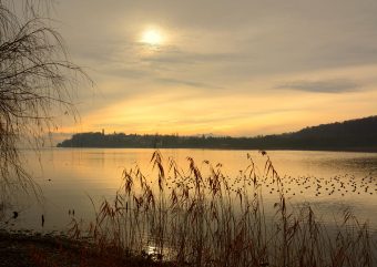 Am Bodensee