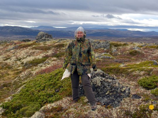 im dovrefjell-nationalpark (norwegen) (2)