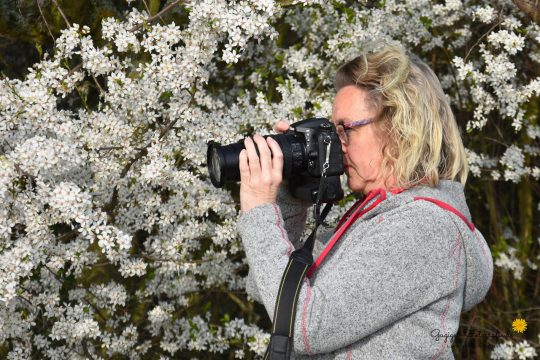 Gugigei Fotografie - Wiltrud beim fotografieren